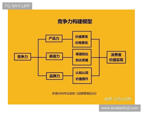 playace电子用户体验优化方案提升产品竞争力的实用指南